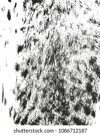 Distressed overlay texture of natural fur, grunge vector background. abstract halftone vector illustration