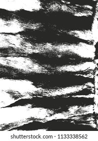 Distressed overlay texture of natural fur, grunge vector background. abstract halftone vector illustration