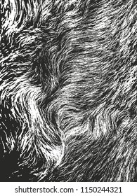 Distressed overlay texture of natural fur, grunge vector background. abstract halftone vector illustration