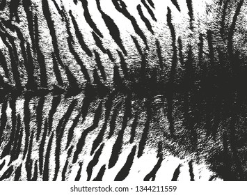 Distressed overlay texture of natural fur, grunge vector background. abstract halftone vector illustration