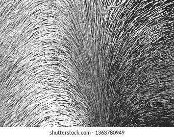 Distressed overlay texture of natural fur, grunge vector background. abstract halftone vector illustration