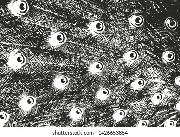 Distressed overlay texture of natural fur, birds feathers grunge vector background. abstract halftone vector illustration