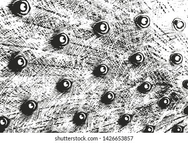 Distressed overlay texture of natural fur, birds feathers grunge vector background. abstract halftone vector illustration