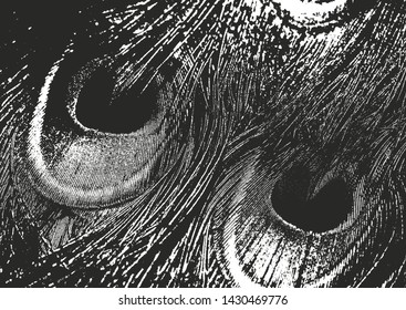 Distressed overlay texture of natural fur, birds feather, grunge vector background. abstract halftone vector illustration