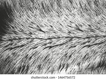 Distressed overlay texture of natural fur, grunge vector background. abstract halftone vector illustration