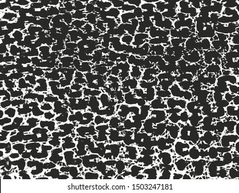 Distressed overlay texture of natural fur, grunge vector background. abstract halftone vector illustration