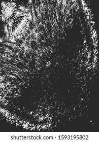Distressed overlay texture of natural fur, grunge vector background. abstract halftone vector illustration
