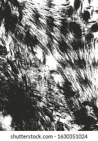 Distressed overlay texture of natural fur, grunge vector background. abstract halftone vector illustration
