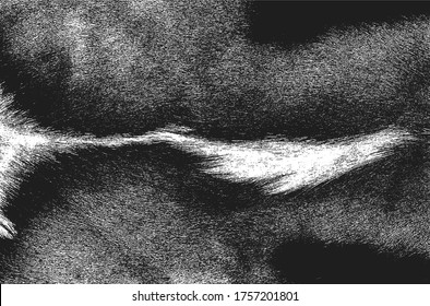 Distressed overlay texture of natural fur, grunge vector background. abstract halftone vector illustration