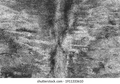 Distressed overlay texture of natural fur, grunge vector background. abstract halftone vector illustration
