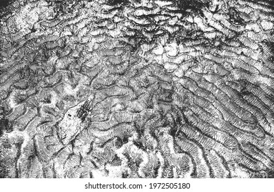 Distressed overlay texture of natural fur, wool, grunge vector background. abstract halftone vector illustration