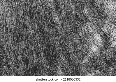 Textura superpuesta angustiada de piel natural, fondo vectorial de grunge. ilustración abstracta de vector de medio tono