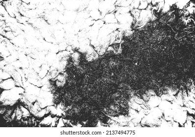 Distressed overlay texture of natural fur, grunge vector background. abstract halftone vector illustration