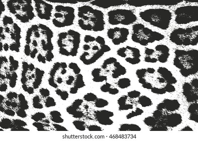 Distressed overlay texture of natural fur, grunge vector background. abstract halftone vector illustration