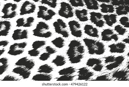 Distressed overlay texture of natural fur, grunge vector background. abstract halftone vector illustration