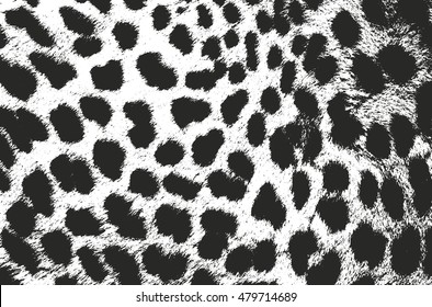 Distressed overlay texture of natural fur, grunge vector background. abstract halftone vector illustration