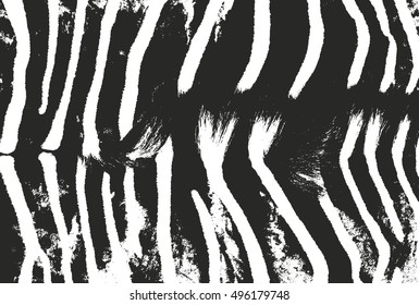 Distressed overlay texture of natural fur, grunge vector background. abstract halftone vector illustration