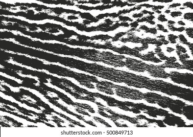 Distressed overlay texture of natural fur, grunge vector background. abstract halftone vector illustration