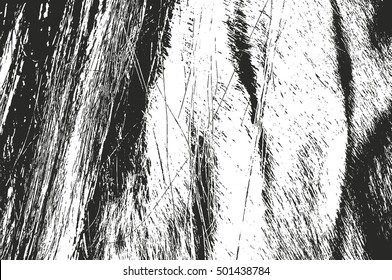 Distressed overlay texture of natural fur, grunge vector background. abstract halftone vector illustration