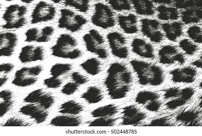 Distressed overlay texture of natural fur, grunge vector background. abstract halftone vector illustration