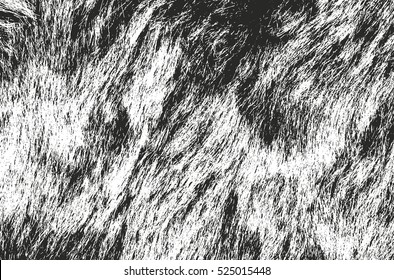 Distressed overlay texture of natural fur, grunge vector background. abstract halftone vector illustration