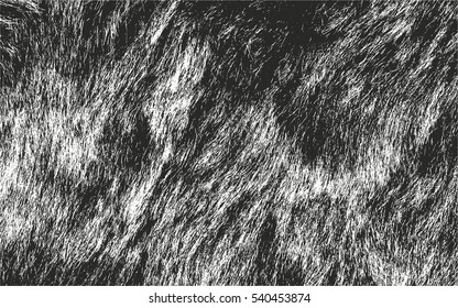 Distressed overlay texture of natural fur, grunge vector background. abstract halftone vector illustration