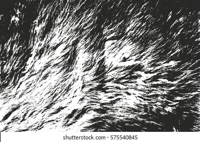 Distressed overlay texture of natural fur, grunge vector background. abstract halftone vector illustration