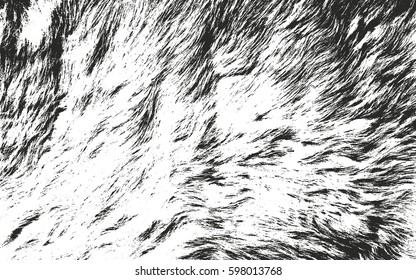 Distressed overlay texture of natural fur, grunge vector background. abstract halftone vector illustration