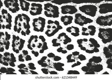 Distressed overlay texture of natural fur, grunge vector background. abstract halftone vector illustration
