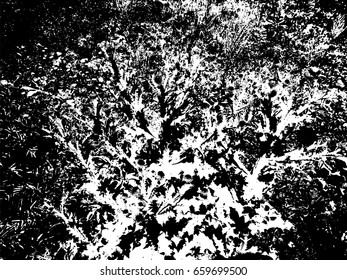 Distressed overlay texture of natural fur, grunge vector background. abstract halftone vector illustration