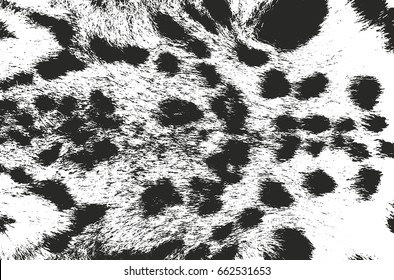 Distressed overlay texture of natural fur, grunge vector background. abstract halftone vector illustration