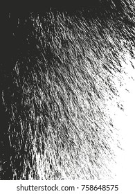 Distressed overlay texture of natural fur, grunge vector background. abstract halftone vector illustration