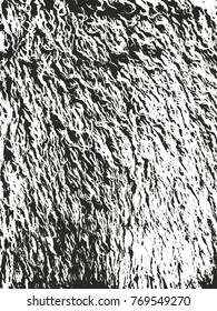 Distressed overlay texture of natural fur, grunge vector background. abstract halftone vector illustration