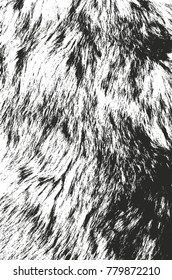 Distressed overlay texture of natural fur, grunge vector background. abstract halftone vector illustration