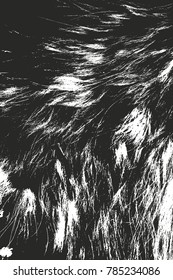 Distressed overlay texture of natural fur, grunge vector background. abstract halftone vector illustration