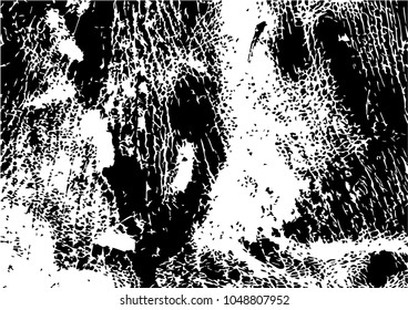 Distressed overlay texture of natural leather, grunge vector background. abstract halftone vector illustration
