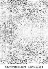 Distressed overlay texture of natural leather, grunge vector background. abstract halftone vector illustration