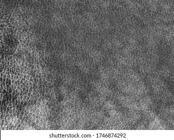 Distressed overlay texture of natural leather, grunge vector background. abstract halftone vector illustration