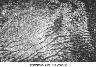 Distressed overlay texture of natural leather, grunge vector background. abstract halftone vector illustration