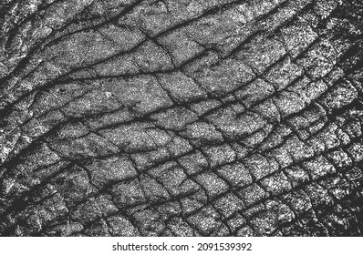 Distressed overlay texture of natural leather, grunge vector background. abstract halftone vector illustration