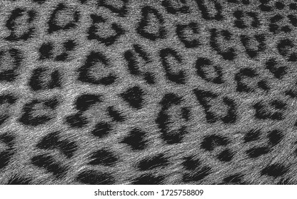 Distressed overlay texture of natural leopard fur, grunge vector background. abstract halftone vector illustration