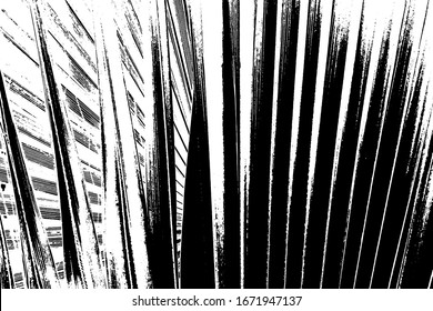 Textura superpuesta perturbada de hoja de palma, estructura diagonal rayada o plegada. Borde fondo. Un recurso gráfico de color.
