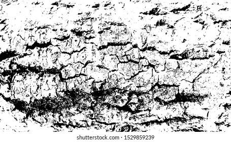 Distressed overlay texture of rough surface, cracked wood, tree bark. Grunge background. One color graphic resource.