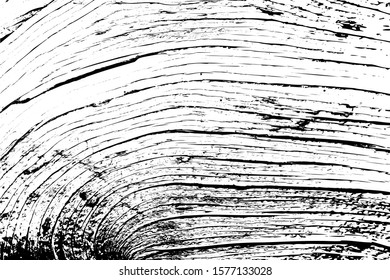 Distressed overlay texture of rough surface, old tree stump, rings on tree. Grunge background. One color graphic resource.