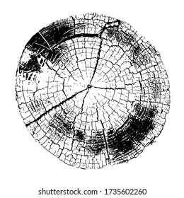 Distressed overlay texture of rough surface, old tree stump, rings on tree. Grunge background. One color graphic resource.