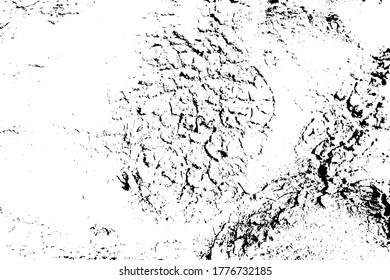 Distressed overlay texture of rough surface, cracked wood, tree bark. Grunge background. one color graphic resource.