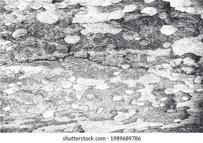Distressed overlay texture of rusted peeled metal. grunge background. abstract halftone vector illustration