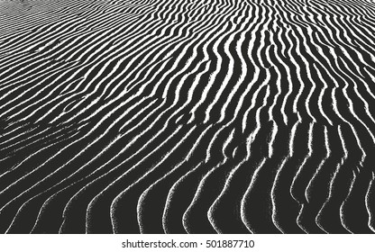 Distressed overlay texture of the sand in the desert. grunge background. abstract halftone vector illustration