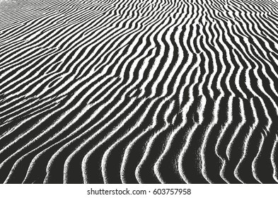 Distressed overlay texture of sand waves in desert. grunge background. abstract halftone vector illustration