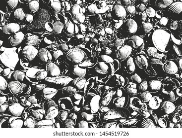 Distressed overlay texture of seashells, sea stones on the beach. grunge background. abstract halftone vector illustration